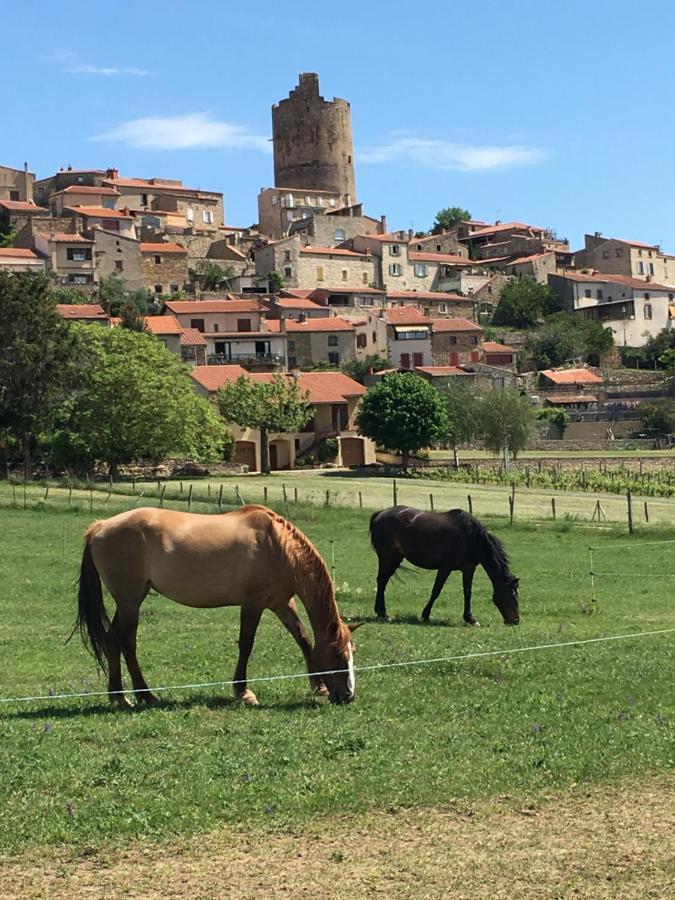 Montpeyroux  La Charmeraie المظهر الخارجي الصورة